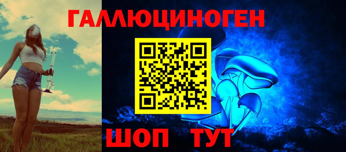 Псилоцибиновые грибы Psilocybe Лыткарино