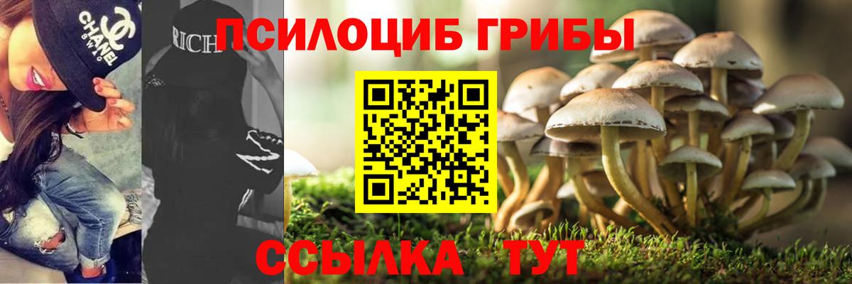 Лыткарино  Галлюциногенные грибы ЛСД  Вход с VPN  Галлюциногенные грибы Cubensis 