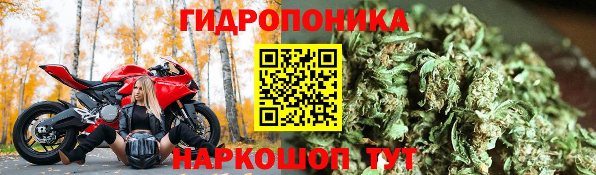 Канабис MAZAR Лыткарино